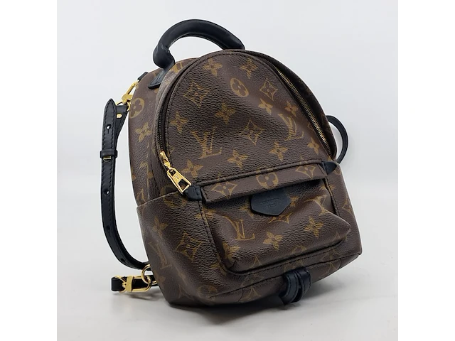 Rugtas, louis vuitton, palm springs backback pm - afbeelding 10 van  16