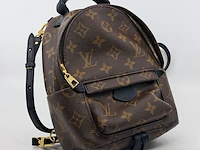 Rugtas, louis vuitton, palm springs backback pm - afbeelding 10 van  16