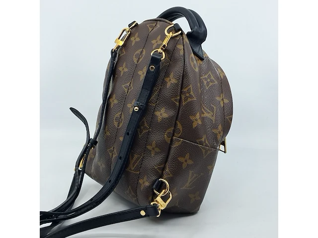 Rugtas, louis vuitton, palm springs backback pm - afbeelding 11 van  16