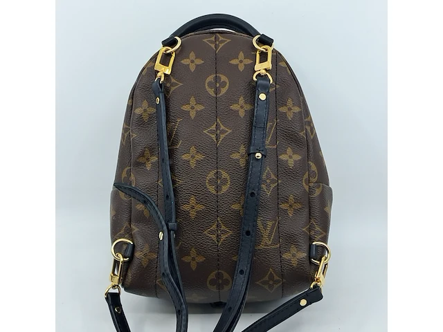Rugtas, louis vuitton, palm springs backback pm - afbeelding 12 van  16