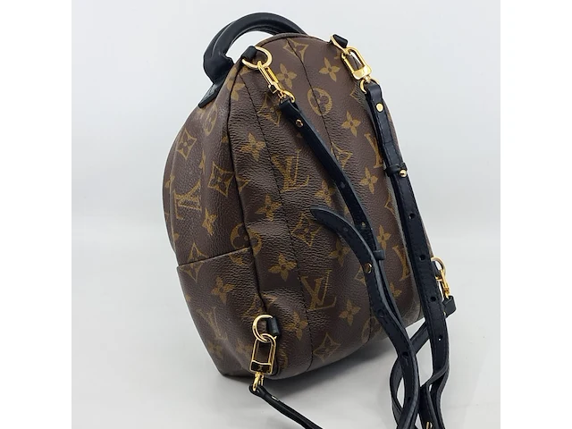 Rugtas, louis vuitton, palm springs backback pm - afbeelding 13 van  16