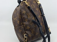 Rugtas, louis vuitton, palm springs backback pm - afbeelding 13 van  16