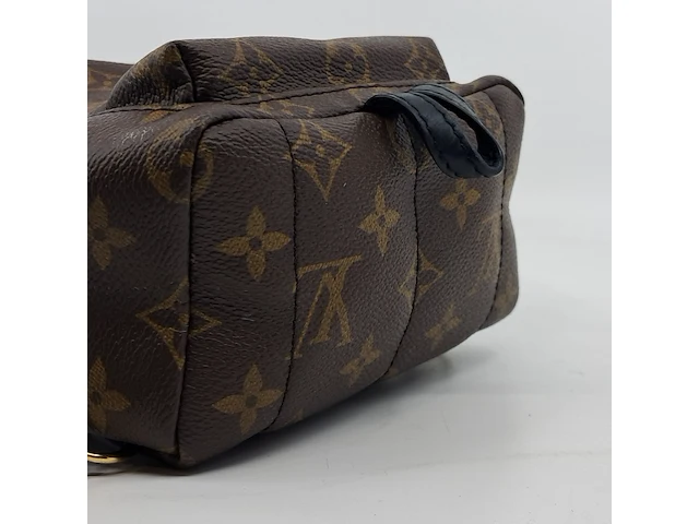 Rugtas, louis vuitton, palm springs backback pm - afbeelding 14 van  16