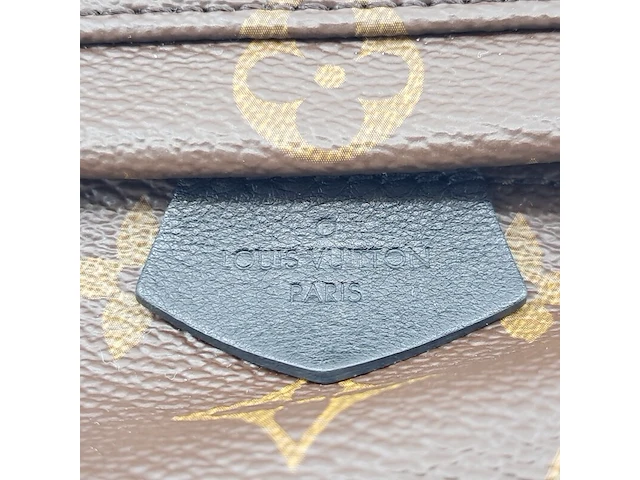 Rugtas, louis vuitton, palm springs backback pm - afbeelding 15 van  16