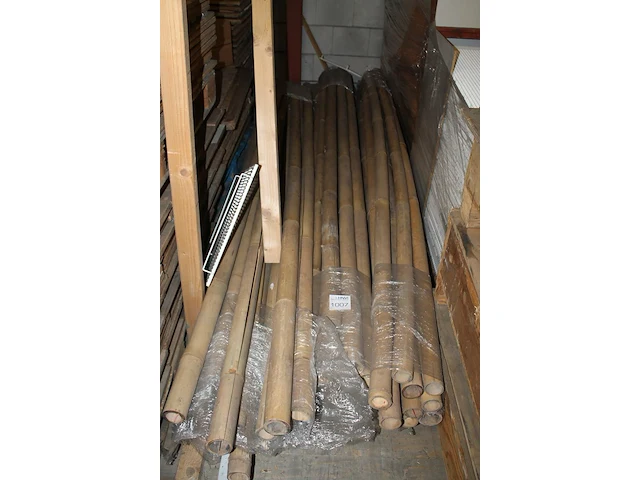 Ruim 30 bamboe palen, lengte circa 300 cm - afbeelding 2 van  2
