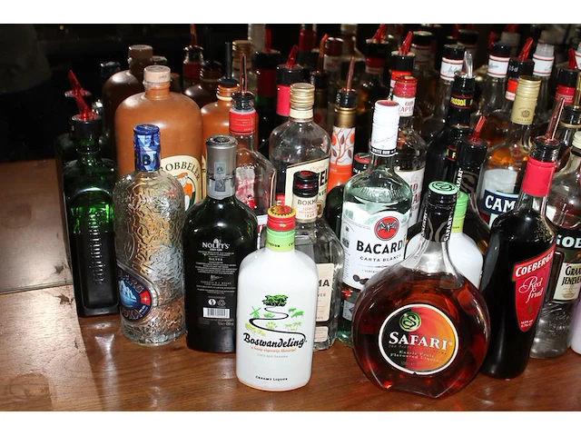 Ruim 60 aangebroken flessen sterke drank in grote diversiteit. - afbeelding 2 van  4