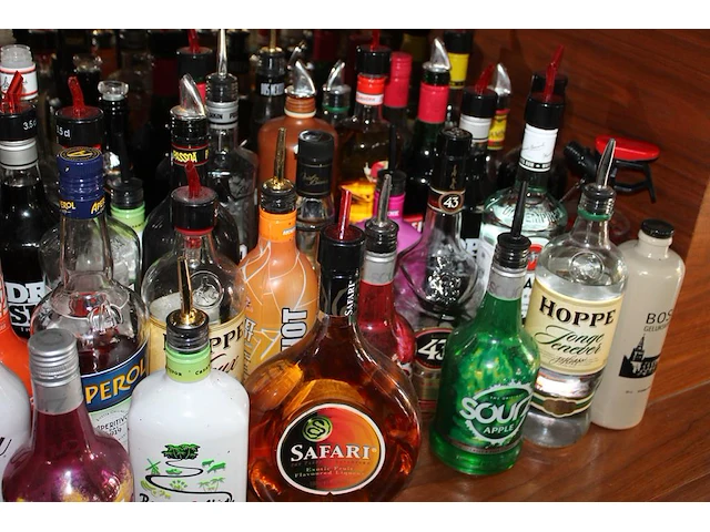 Ruim 60 aangebroken flessen sterke drank in grote diversiteit. - afbeelding 4 van  4