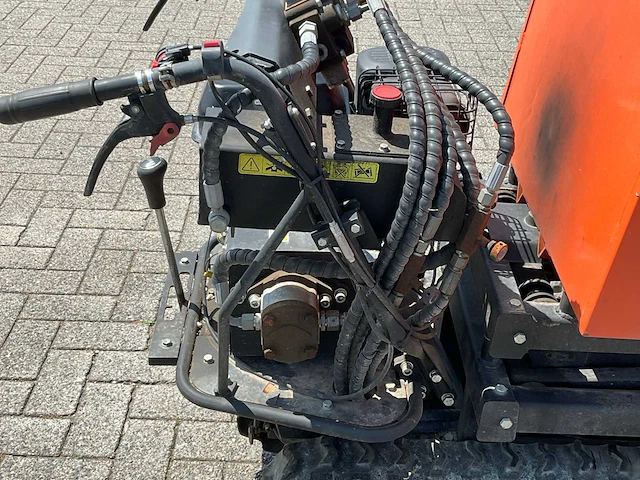 Rupsdumper - afbeelding 7 van  18