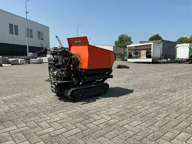 Rupsdumper - afbeelding 15 van  18