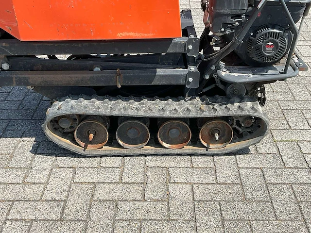 Rupsdumper - afbeelding 18 van  18