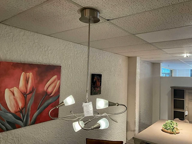 Rvs hanglamp - afbeelding 1 van  5