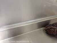 Rvs horeca vaatwasstraat mach - afbeelding 2 van  10