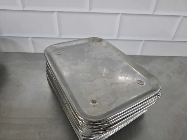 Rvs vleesschaal (23x) - afbeelding 2 van  4
