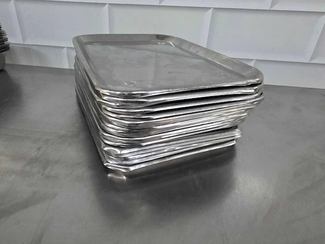 Rvs vleesschaal (23x) - afbeelding 3 van  4