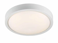 S9 plafondlamp - afbeelding 1 van  3