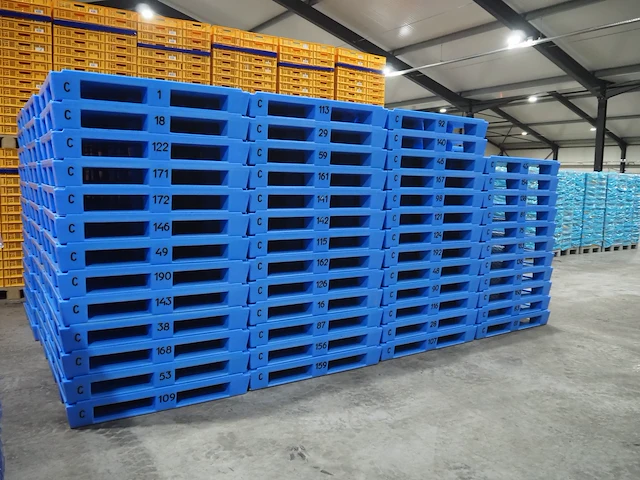 Saeplast - afbeelding 3 van  8