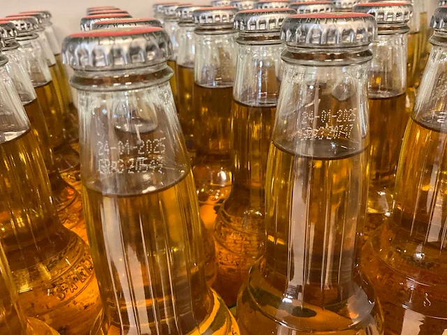 Salitos - flessen bier tht verlopen (100x) - afbeelding 7 van  7