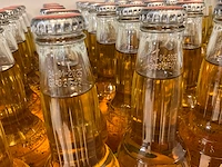 Salitos - flessen bier tht verlopen (100x) - afbeelding 7 van  7