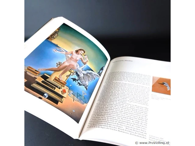 Salvador dali - afbeelding 4 van  5