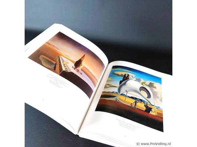 Salvador dali - afbeelding 5 van  5