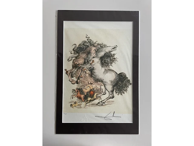 Salvador dali - afbeelding 1 van  1