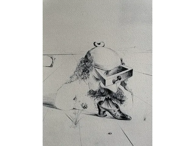 Salvador dali - afbeelding 2 van  4