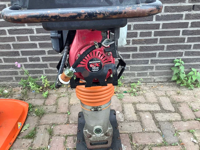 Samac s64 trilstamper - afbeelding 3 van  4