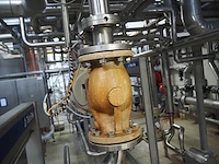 Samson - afbeelding 4 van  8