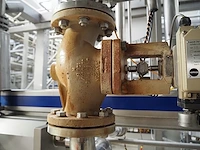 Samson - afbeelding 5 van  8
