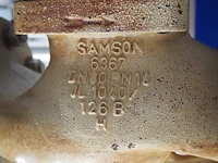 Samson - afbeelding 6 van  8
