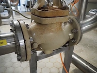 Samson - afbeelding 5 van  7