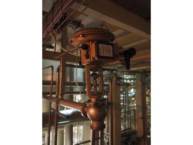 Samson - afbeelding 1 van  3