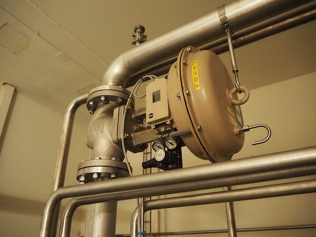 Samson - afbeelding 2 van  4