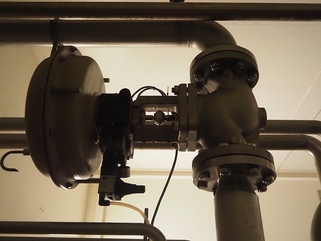 Samson - afbeelding 3 van  4