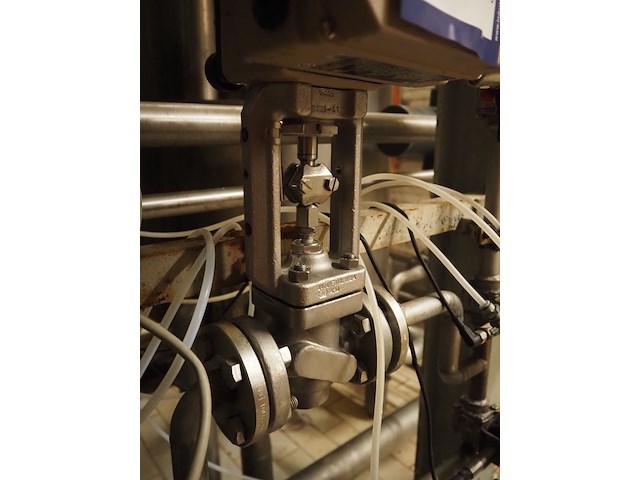 Samson - afbeelding 6 van  6