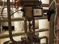 Samson - afbeelding 1 van  5