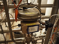 Samson - afbeelding 3 van  5