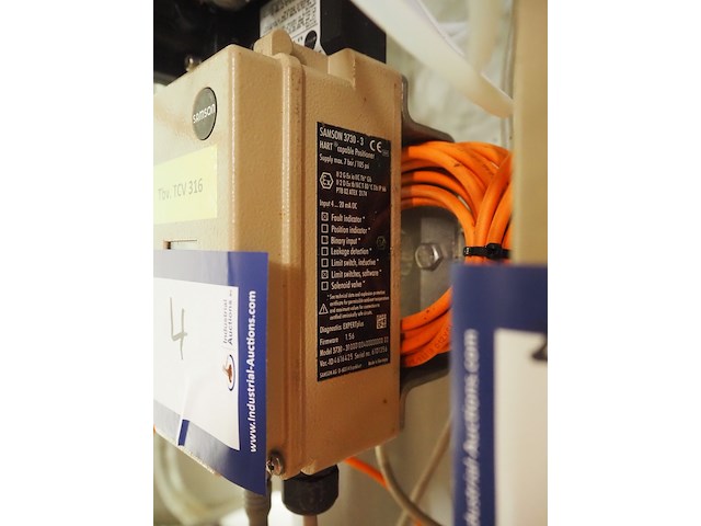 Samson - afbeelding 8 van  10