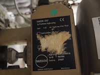 Samson - afbeelding 5 van  6