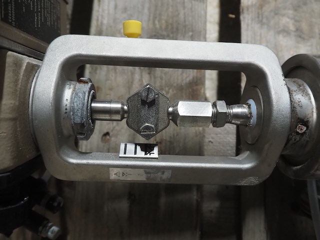 Samson - afbeelding 6 van  8