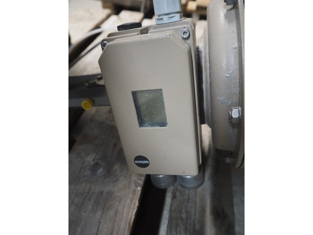 Samson - afbeelding 7 van  8