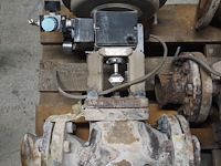 Samson - afbeelding 20 van  24