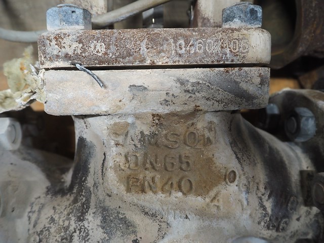 Samson - afbeelding 22 van  24