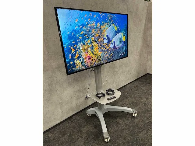 Samsung ed65e - 65" fhd monitor met verrijdbaar statief - afbeelding 7 van  17