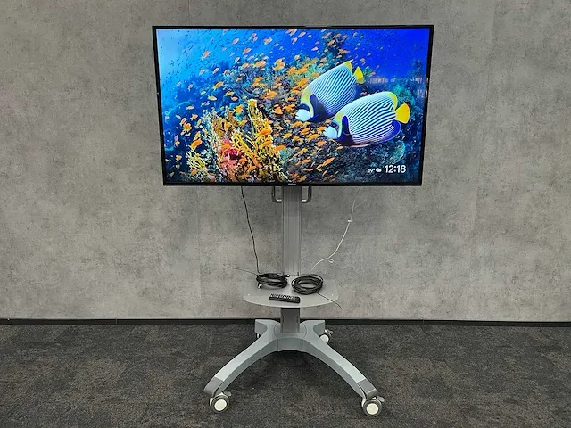 Samsung ed65e - 65" fhd monitor met verrijdbaar statief - afbeelding 9 van  17