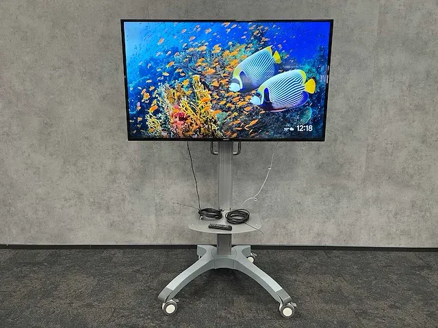 Samsung ed65e - 65" fhd monitor met verrijdbaar statief - afbeelding 1 van  17