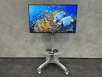Samsung ed65e - 65" fhd monitor met verrijdbaar statief - afbeelding 1 van  17