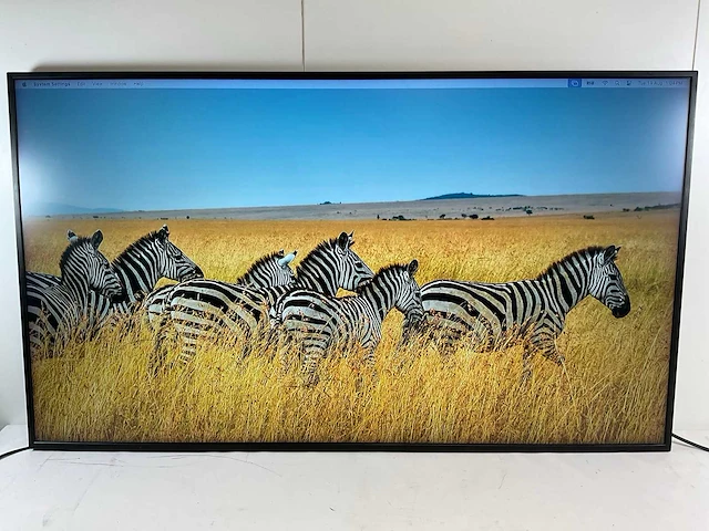 Samsung (qm49r) 49”, 3840x2160 (uhd) lcd monitor - afbeelding 1 van  6