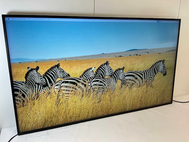 Samsung (qm49r) 49”, 3840x2160 (uhd) lcd monitor - afbeelding 2 van  6