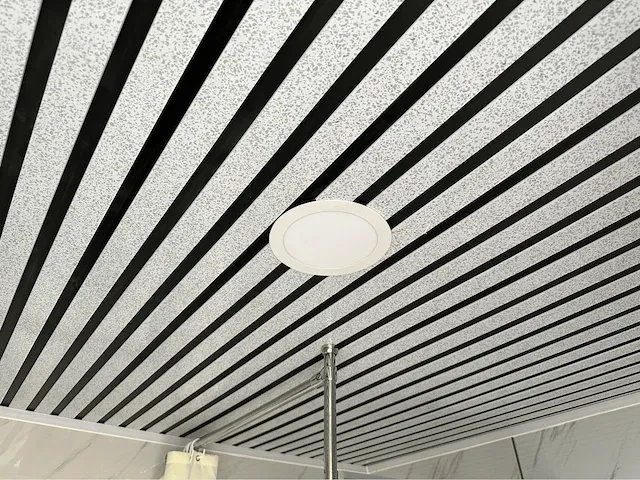 Sanitairunit / douche-/toiletunit - afbeelding 16 van  39